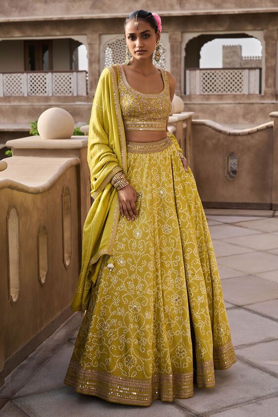 Nartakee Lehenga - Lime - The Grand Trunk