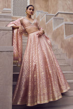 Load image into Gallery viewer, Aniq Lehenga Set - Blush - The Grand Trunk