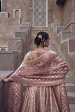 Load image into Gallery viewer, Aniq Lehenga Set - Blush - The Grand Trunk