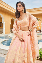 Load image into Gallery viewer, Zaina Lehenga Set - Blush - The Grand Trunk