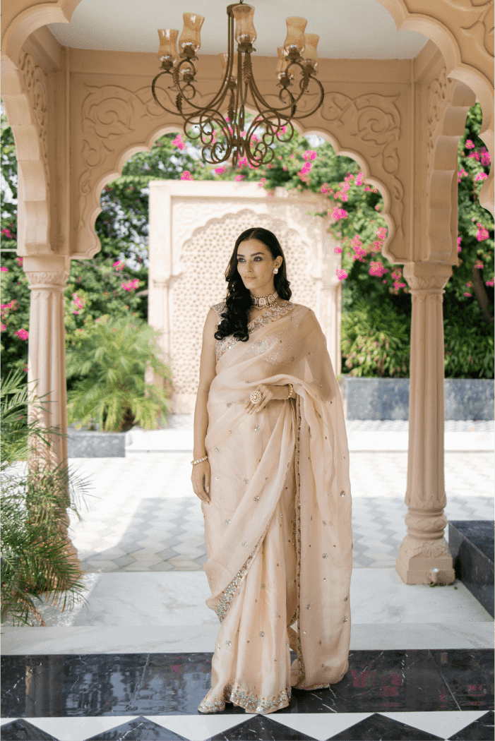 Esha Koul Saree Set - The Grand Trunk