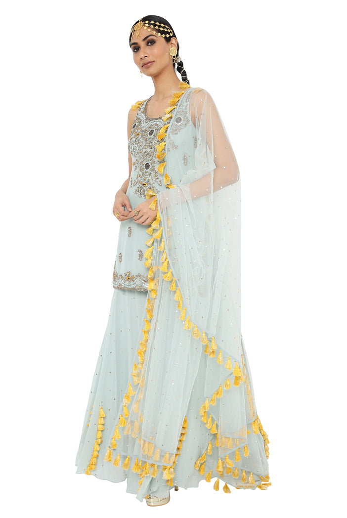 Payal Singhal Embroidered Kurta With Sharara And Dupatta - The Grand Trunk