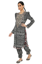 Load image into Gallery viewer, Payal Singhal  Printed  Embroidered Kurta With Jogger Salwar - The Grand Trunk