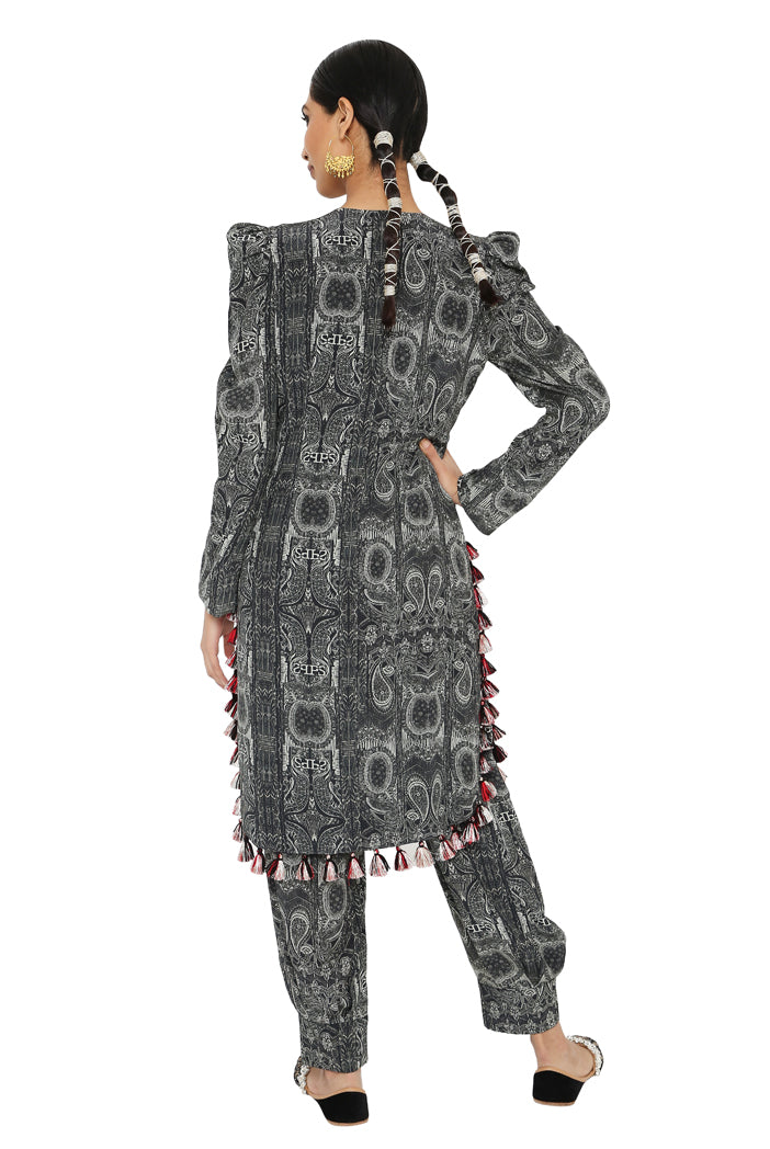 Payal Singhal  Printed  Embroidered Kurta With Jogger Salwar - The Grand Trunk