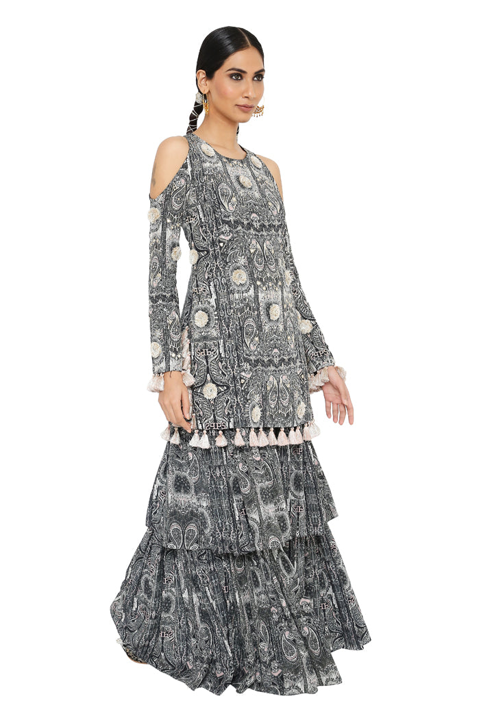 Payal Singhal  Printed Embroidered Kurta With Sharara - The Grand Trunk