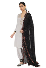 Load image into Gallery viewer, Payal Singhal  Embroidered Kurta with  Jogger Salwar And dupatta - The Grand Trunk