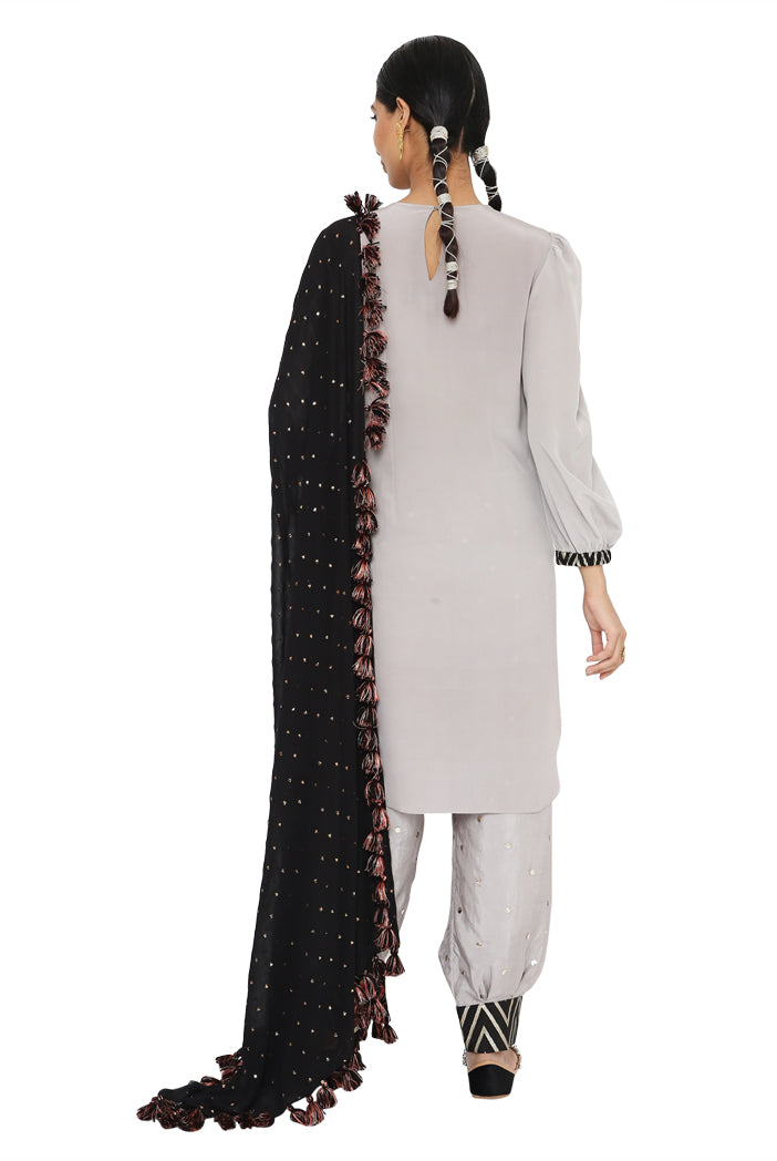 Payal Singhal  Embroidered Kurta with  Jogger Salwar And dupatta - The Grand Trunk