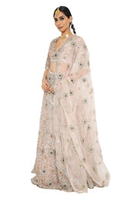 Load image into Gallery viewer, Payal Singhal  Embroidered Organza Choli And Lehenga With Dupatta - The Grand Trunk
