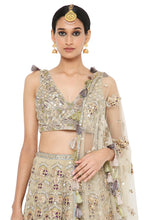 Load image into Gallery viewer, Payal Singhal Lehenga And Choli With Net Dupatta - The Grand Trunk