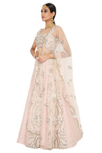 Load image into Gallery viewer, Payal Singhal Embroidered Choli With Lehenga And Net Embroidered Dupatta - The Grand Trunk