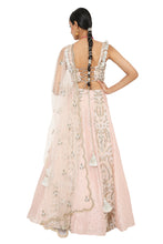 Load image into Gallery viewer, Payal Singhal Embroidered Choli With Lehenga And Net Embroidered Dupatta - The Grand Trunk