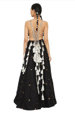 Load image into Gallery viewer, Payal Singhal  Embroidered Choli With Lehenga - The Grand Trunk