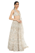 Load image into Gallery viewer, Payal Singhal Embroidered Choli With Lehenga And Dupatta - The Grand Trunk