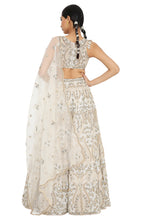 Load image into Gallery viewer, Payal Singhal Embroidered Choli With Lehenga And Dupatta - The Grand Trunk