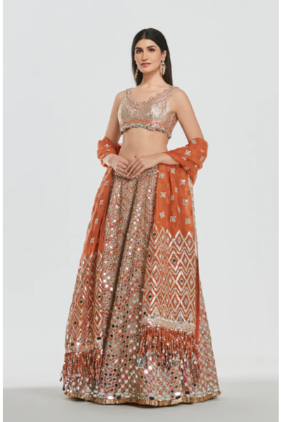 Abhinav Mishra Aabroo Lehenga Set - The Grand Trunk