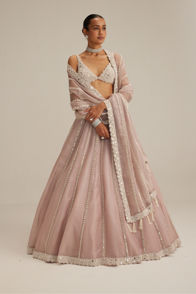Ash Pink Pearl & Mirror linear Lehenga with V neck Blouse