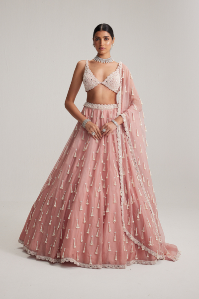 Dusty Rose Organza Long pearl tassels lehenga set