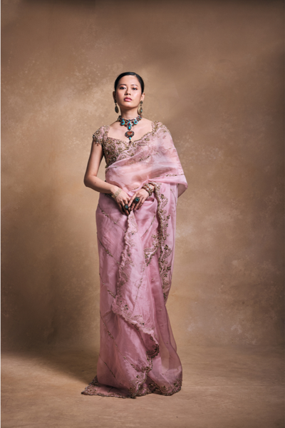 Tamanna Punjabi Kapoor in Blush Pink Organza Saree - The Grand Trunk