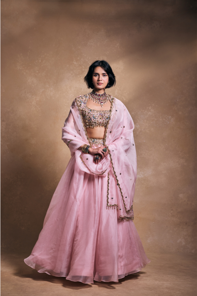 Tamanna Punjabi Baby Pink Organza Lehenga Set - The Grand Trunk