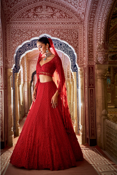 Seema Gujral Red Cut Work Lehenga Set