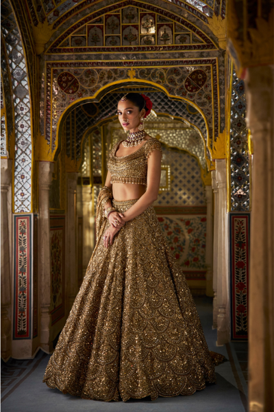 Bronze Tissue Lehenga Set