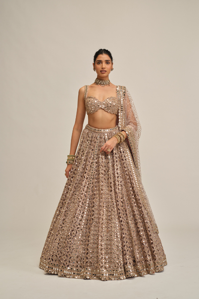 Vvani Vats Ash Pink Circular cutwork lehenga set