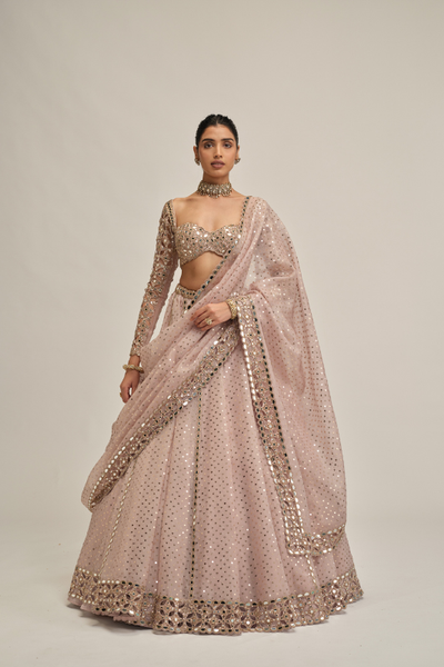 Vvani Vats Ash Pink cutwork sleeve lehenga set