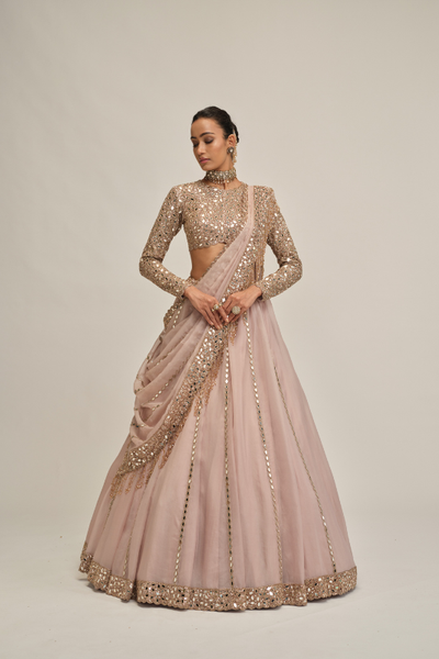 Vvani Vats Ash Pink full sleeve lehenga set