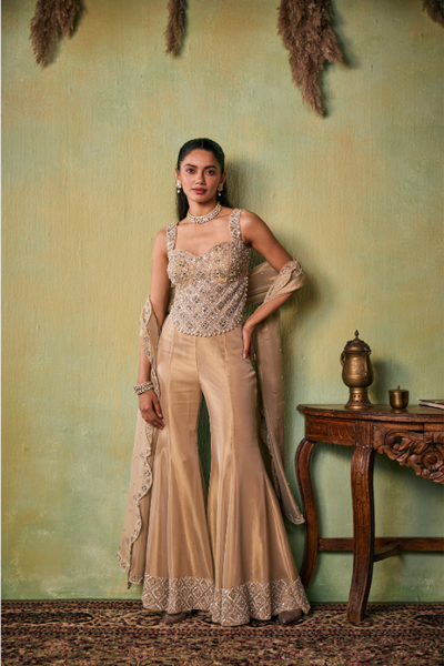 Seema Thukral Shiloh Choli set