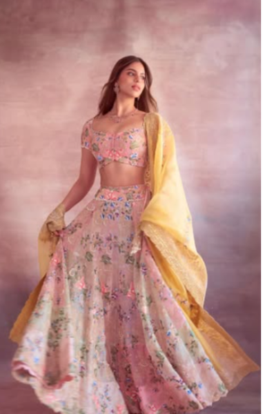 Anamika Khanna pink hand embroidered lehenga set .