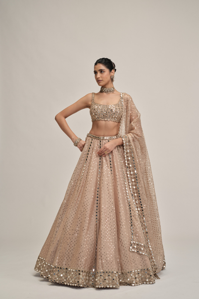 Vvani Vats Light beige sequence embroidered lehenga set