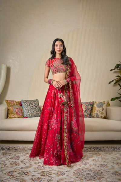 Mahima Mahajan Alina Lehenga set