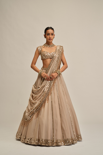 Vvani Vats light beige mirror linear embroidered lehenga set
