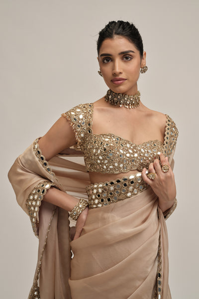 Vvani Vats light beige mirrorwork sari set
