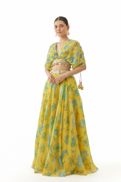 Vandana Lehenga Set - The Grand Trunk