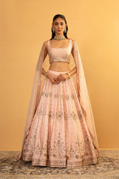 Pink lehenga Set - The Grand Trunk