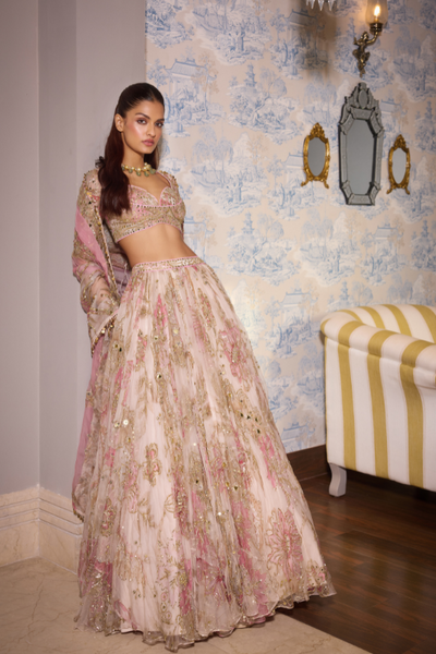 Wafaa Heavy Hand Embroidered Lehenga Featuring Heavy Odhani
