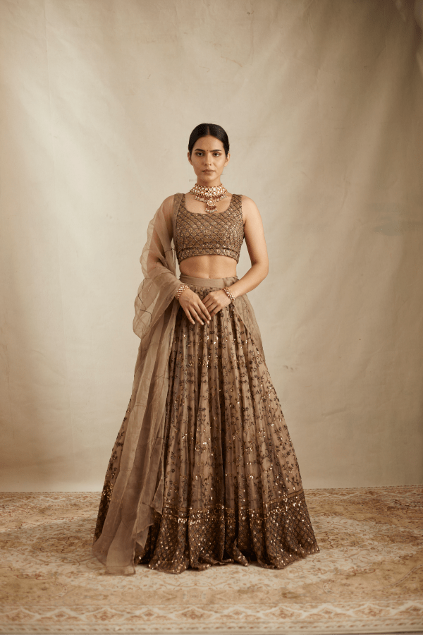 organza dress lehenga Mifra Handpainted Organza Lehenga Set