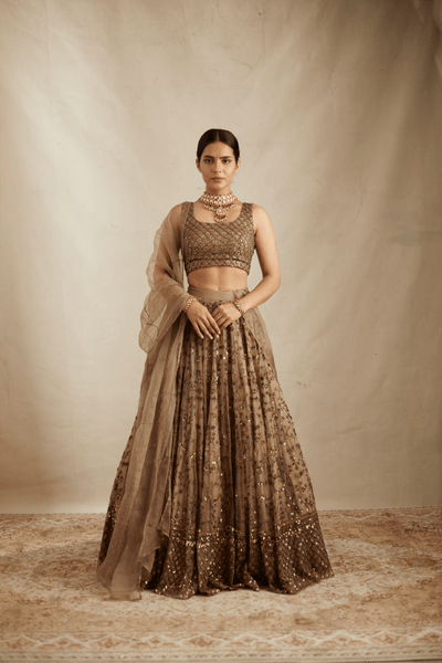 Brown Organza Jaal Work Lehenga Set - The Grand Trunk