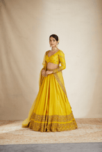 Load image into Gallery viewer, Mustard Yellow Double Border Lehenga Set - The Grand Trunk