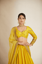 Load image into Gallery viewer, Mustard Yellow Double Border Lehenga Set - The Grand Trunk