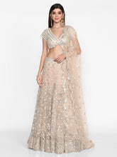 Load image into Gallery viewer, Abhinav Mishra Blush  Lehenga Set - The Grand Trunk