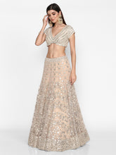Load image into Gallery viewer, Abhinav Mishra Blush  Lehenga Set - The Grand Trunk