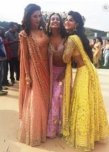 Load image into Gallery viewer, Housefull 3 Lehengas - The Grand Trunk