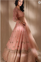 Load image into Gallery viewer, Astha Narang Pink Zari Lehenga - The Grand Trunk