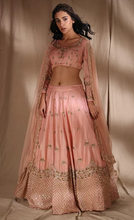 Load image into Gallery viewer, Astha Narang Pink Zari Lehenga - The Grand Trunk
