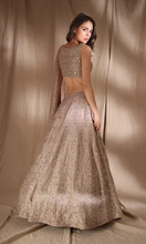 Load image into Gallery viewer, Astha Narang Grey Brown Raw Silk Lehenga - The Grand Trunk