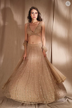 Load image into Gallery viewer, Astha Narang Pale Brown and Gold Lehenga - The Grand Trunk