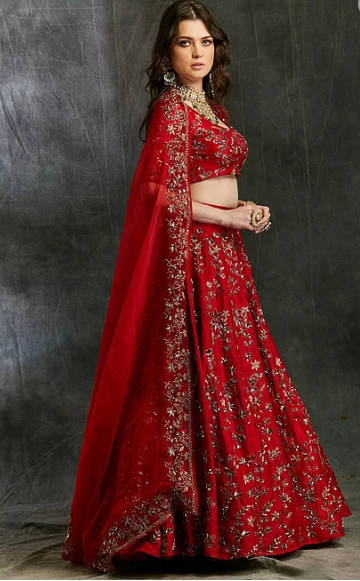 Astha Narang Red Floral Jaal Zari Lehenga - The Grand Trunk