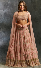Load image into Gallery viewer, Astha Narang Peach Sequins Jaal Border Lehenga - The Grand Trunk